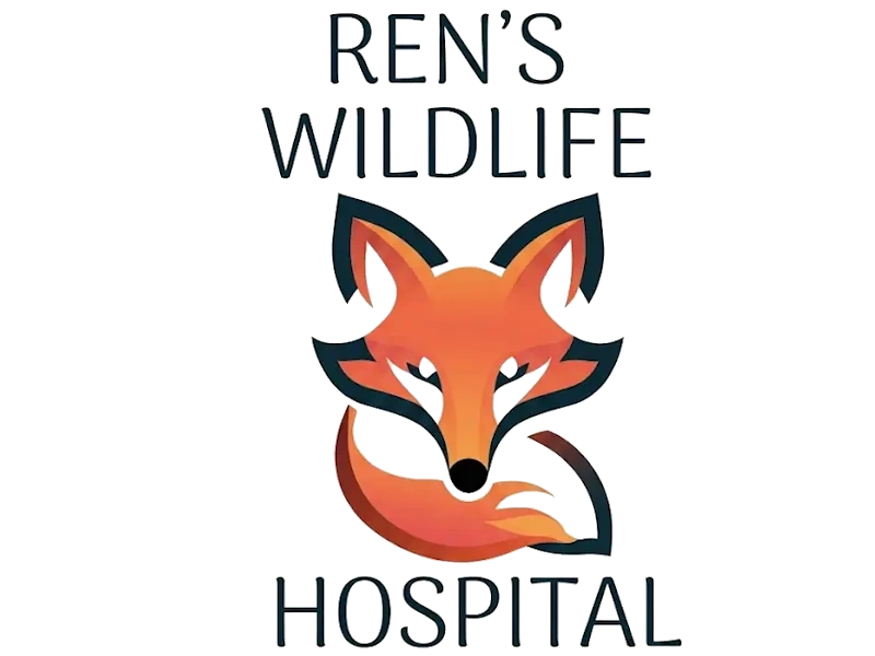 Ren's Wildlife Hospital logo
